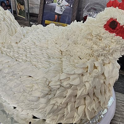 Chicken
