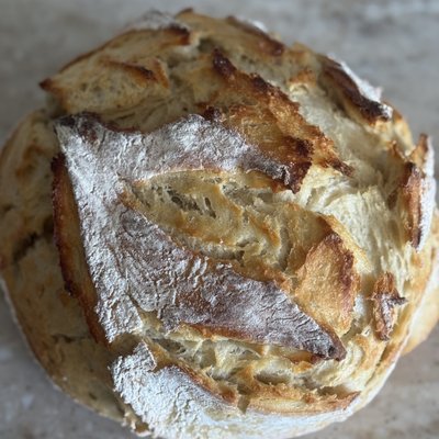 Original Sourdough Boule (round) 