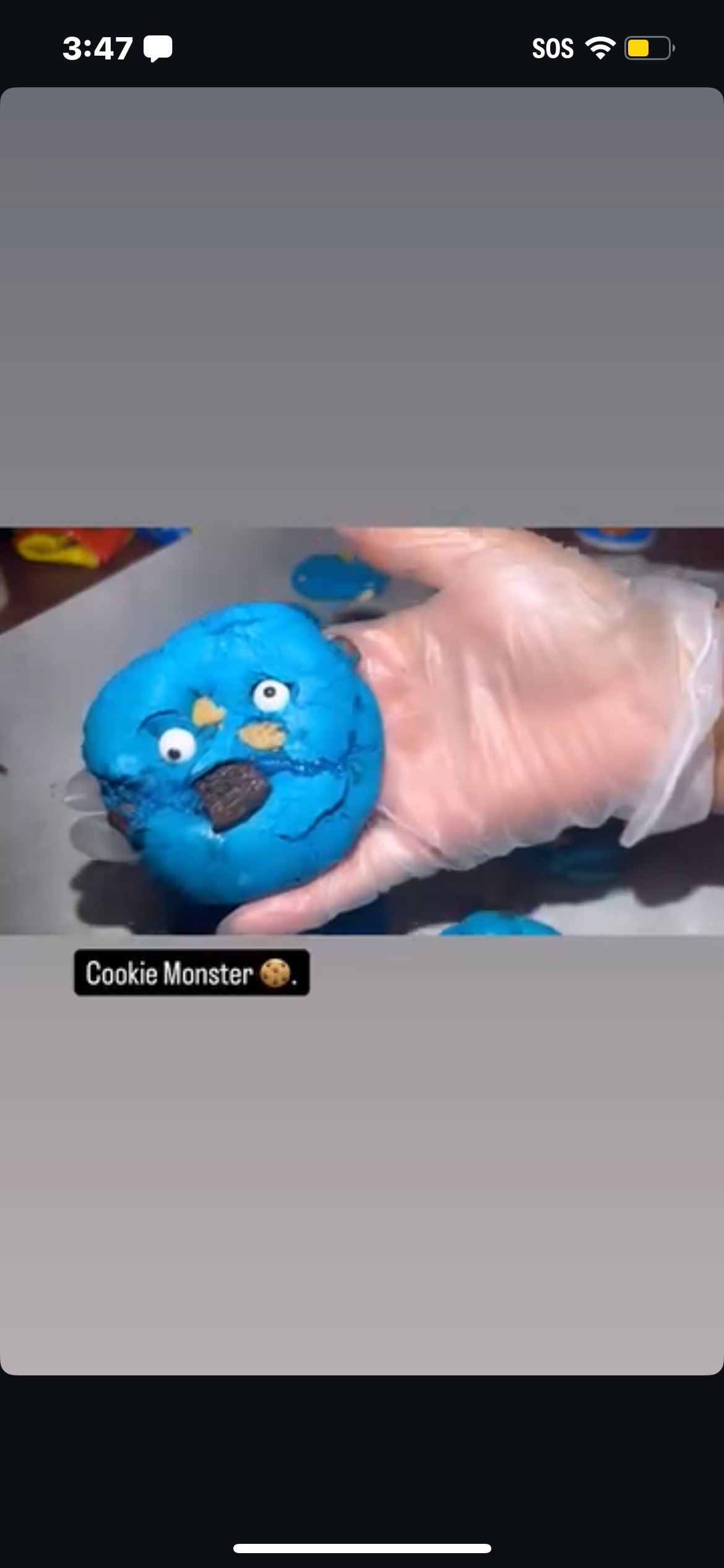Cookie Monster 