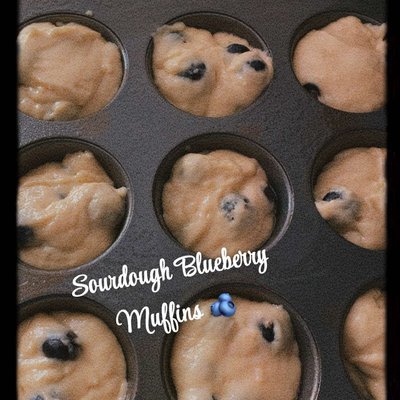 Sourdough Muffins/Minis