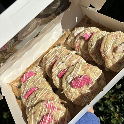 Animal Circus Cookie 