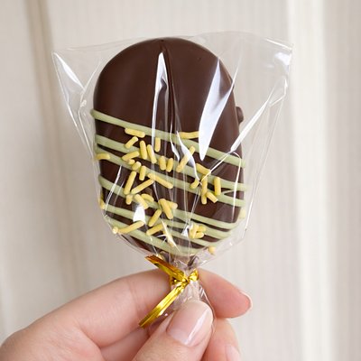 Chocolate Pistachio Cakesicle