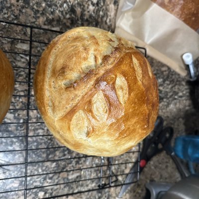 Plain Sourdough Loaf 