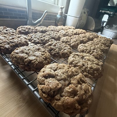 Sourdough Cookies (12)