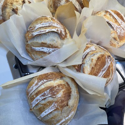 Sourdough