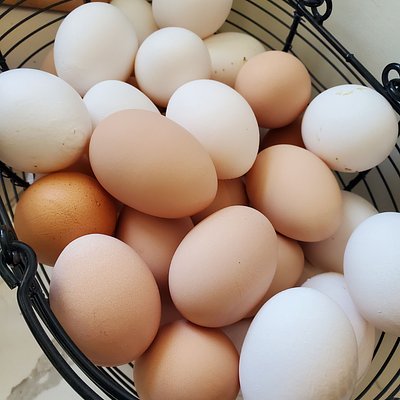 Farm Fresh Eggs