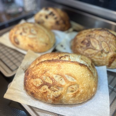 Bacon Scallion Cheddar Sourdough (24 oz) 培根香葱起司酸种面包