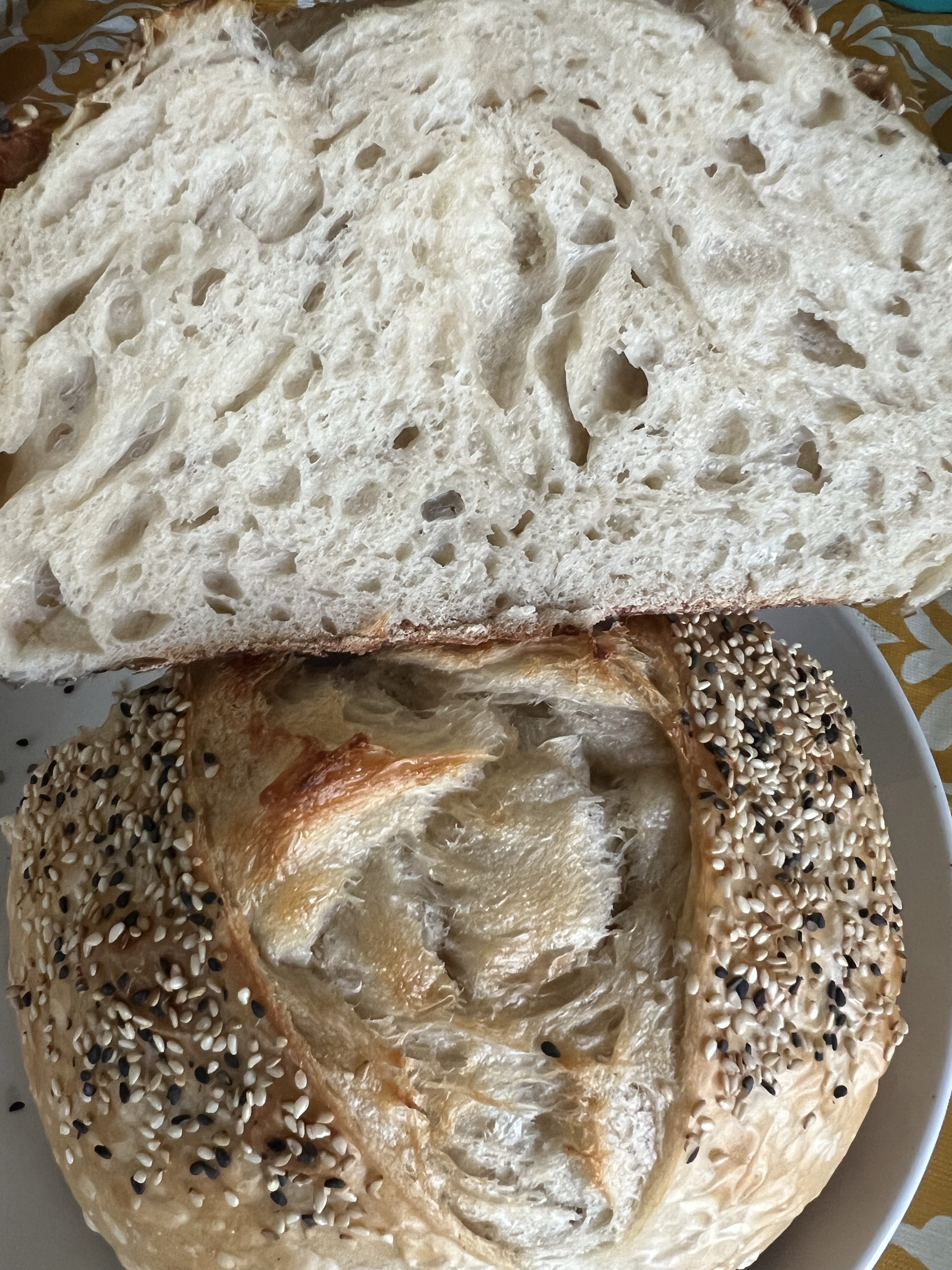Sesame Seed