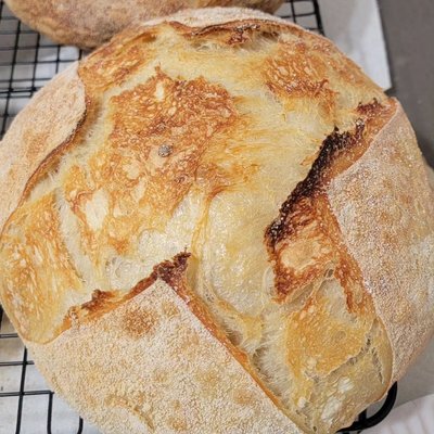 Sourdough Garlic-infused 
