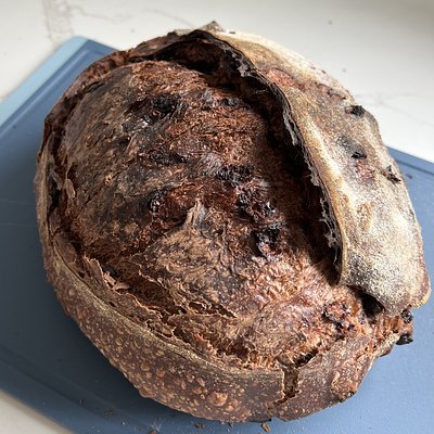 Chocolate Sourdough
