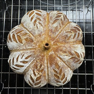 Sourdough Bread - Pumpkin Loaf