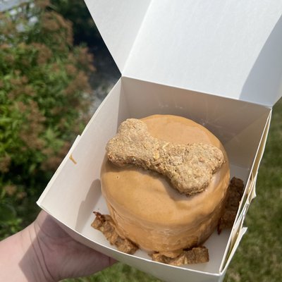Organic Dog Cake