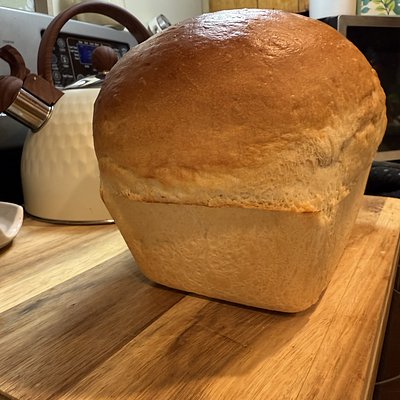 SD Sandwich Bread 