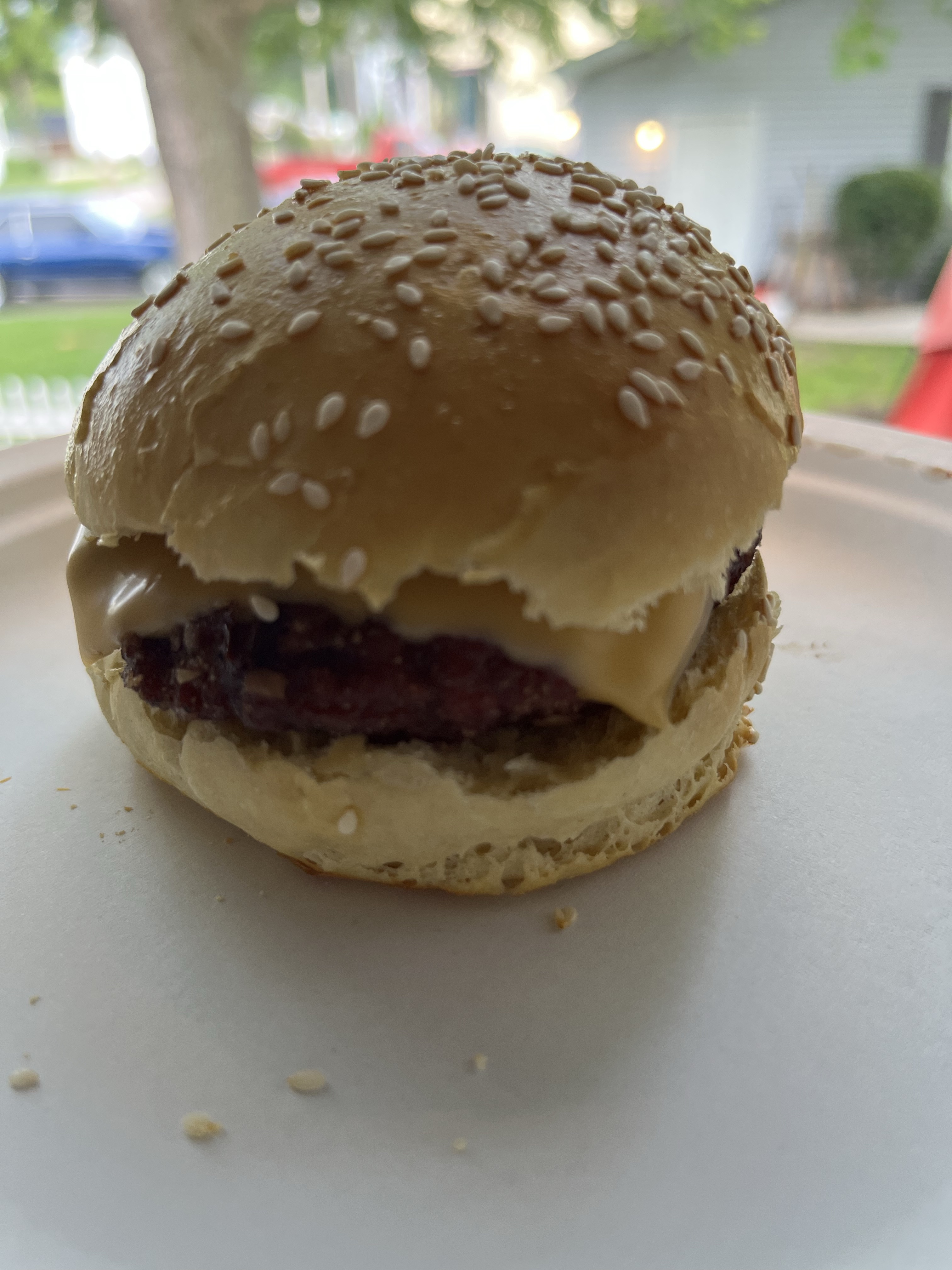 Sourdough Hamburger Buns 6 Pack