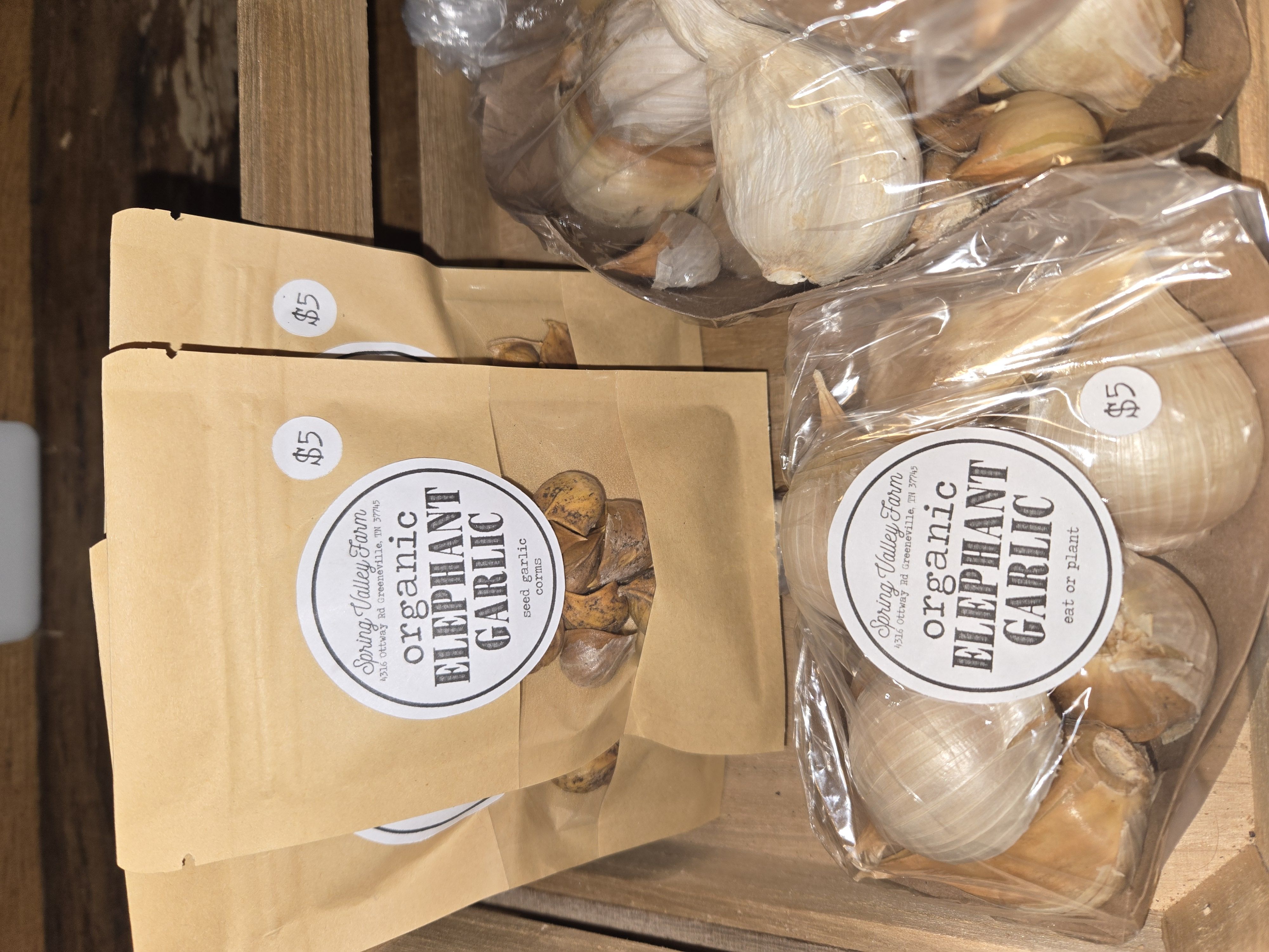 Elephant Garlic Cloves 