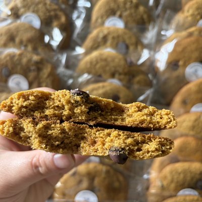 Pumpkin Chocolate Chip 