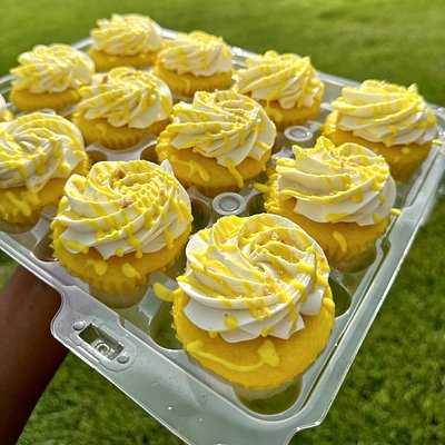 Basic Cupcakes 