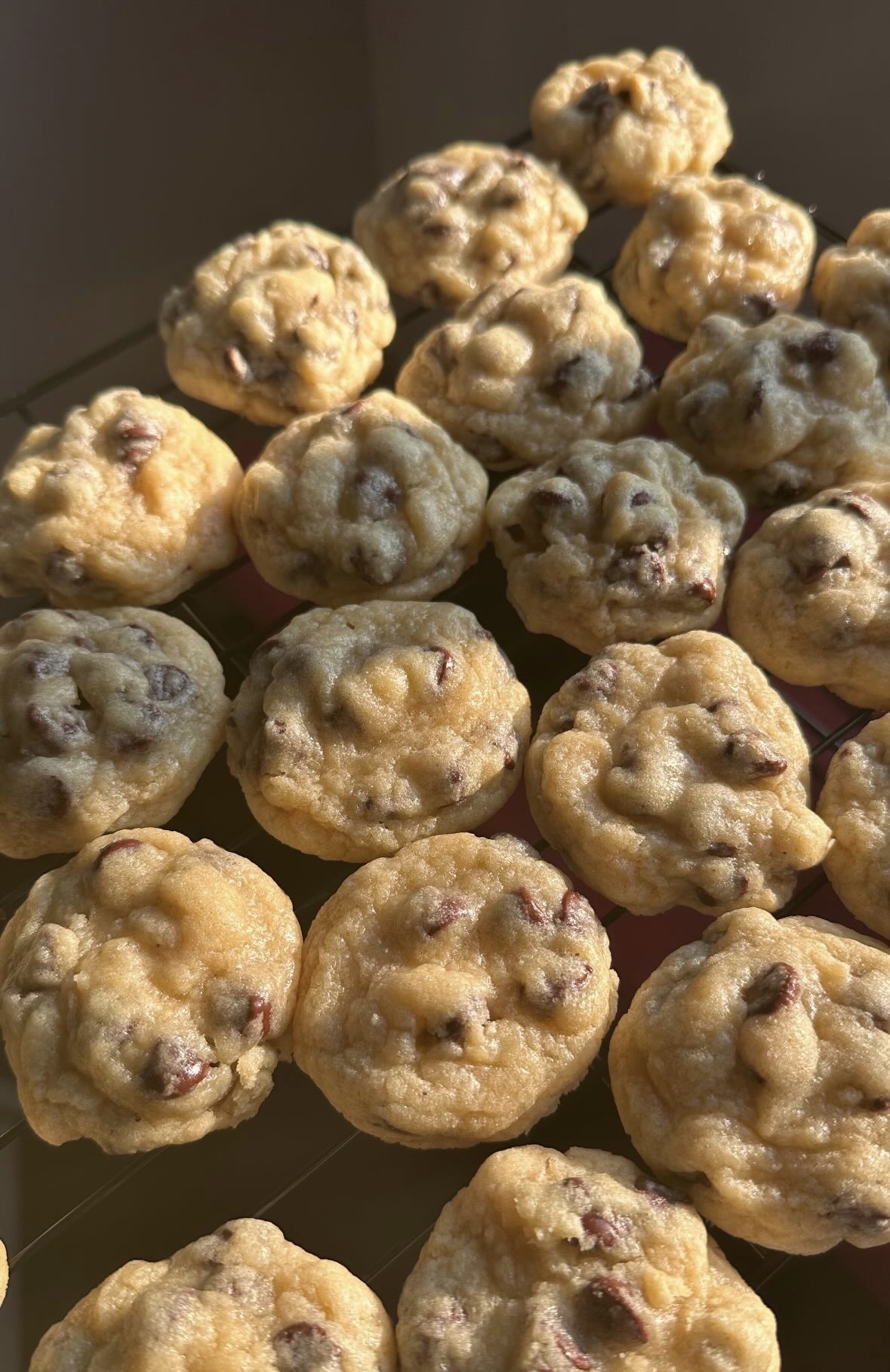 Chocolate Chip Cookies 