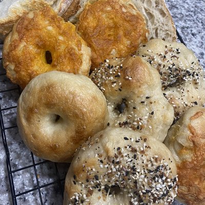 Sourdough Bagels (6) - Assorted