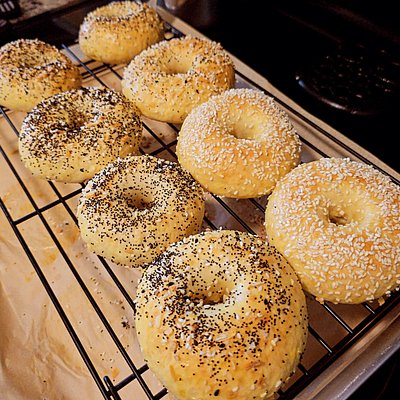 Flavored Bagels Qty 8