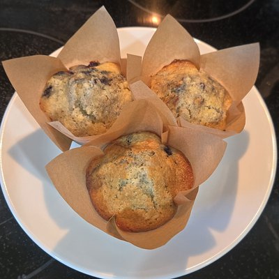 Wild Blueberry Muffins