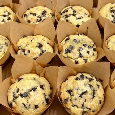 Chocolate Chip Sourdough Muffins (full dozen)