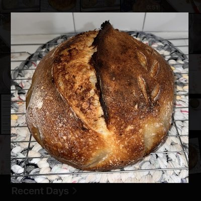 Roasted Garlic & Rosemary 