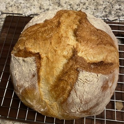 Plain Artisan Loaf