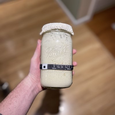 Sourdough Starter