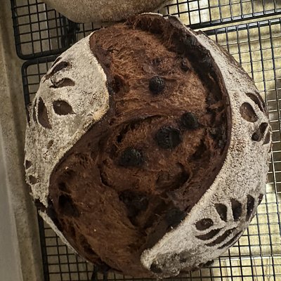 Chocolate Sourdough 