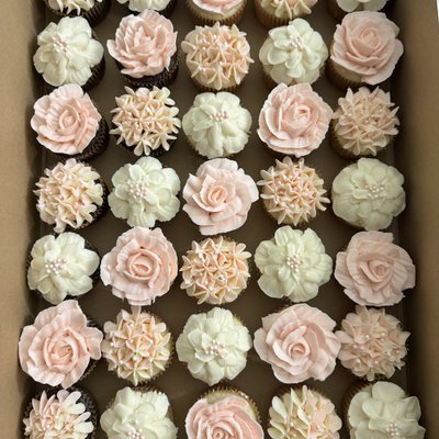 Cupcakes 