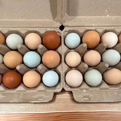Organic Chicken Eggs 1/2 Dozen