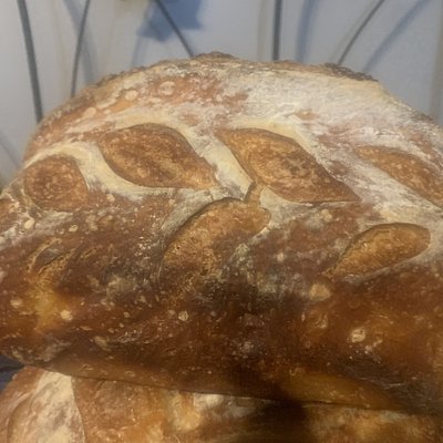 Organic sourdough Sandwich Loaf