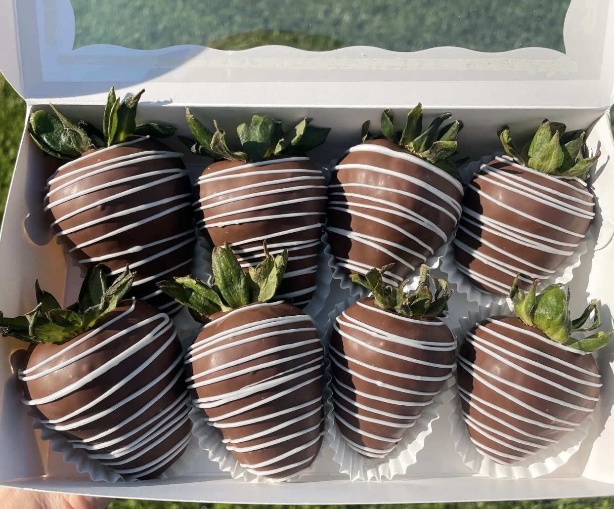 Chocolate Covered Strawberries 