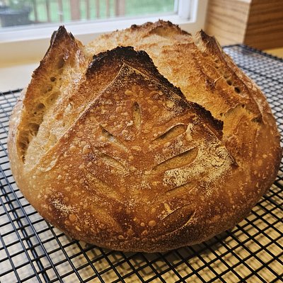 Plain Jane Boule
