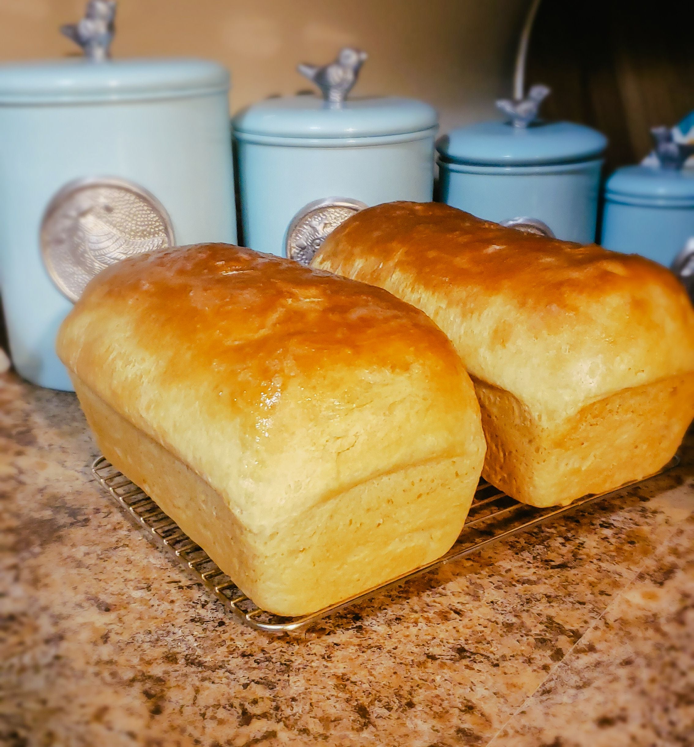 Sandwich Bread