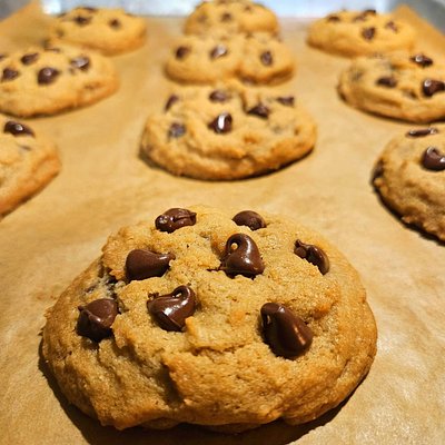Chocolate Chip 