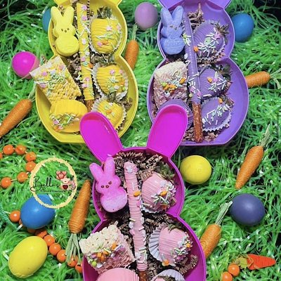 Easter Egg OR Bunny