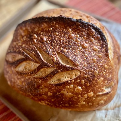 San Francisco Style Sourdough (24 oz) 三藩市酸种面包