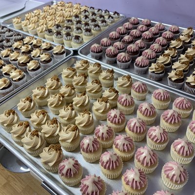 Mini Cupcakes