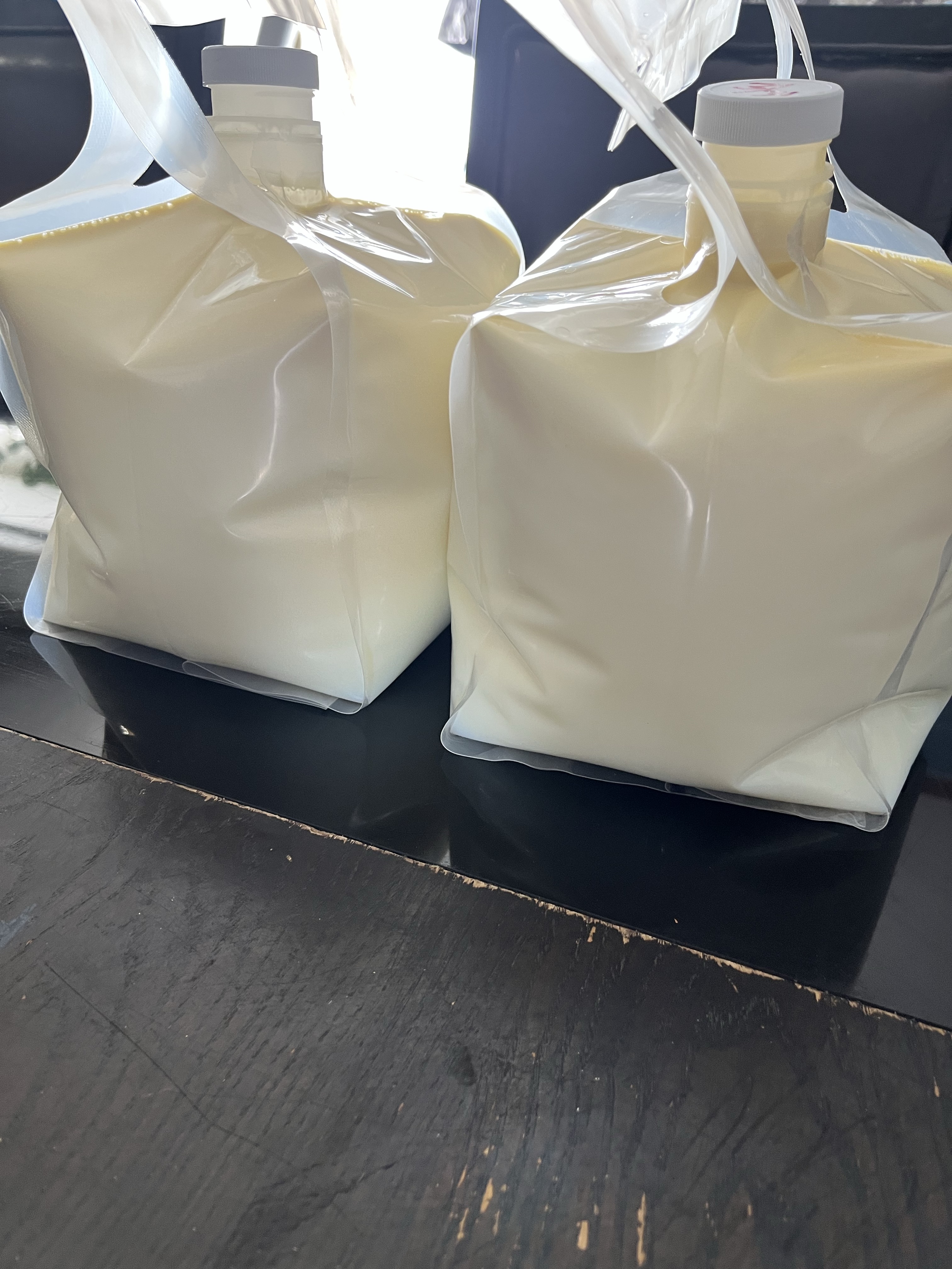 Gallon Of Raw A2/A2 Milk 