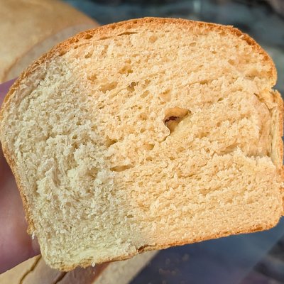 Sandwich Bread 