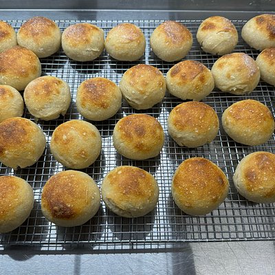 Sourdough Dinner Rolls