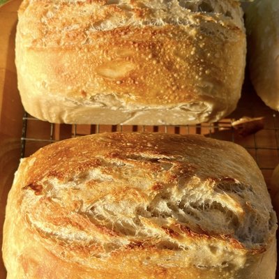 Croissant Sourdough Loaf