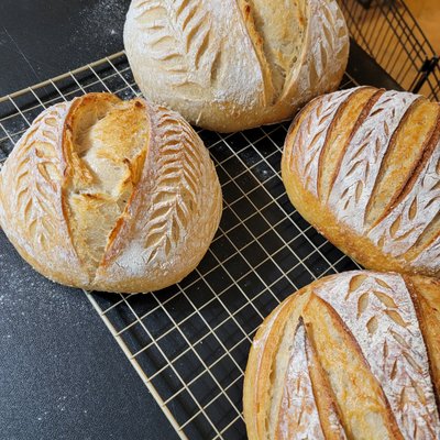 Sourdough Boule