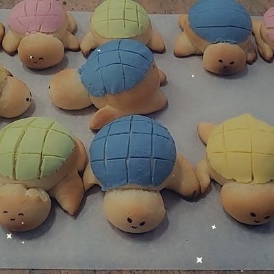 Turtles (dozen)