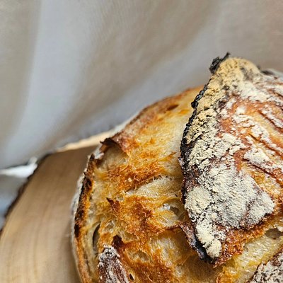 Classic Sourdough