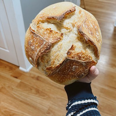 Sourdough loaf 