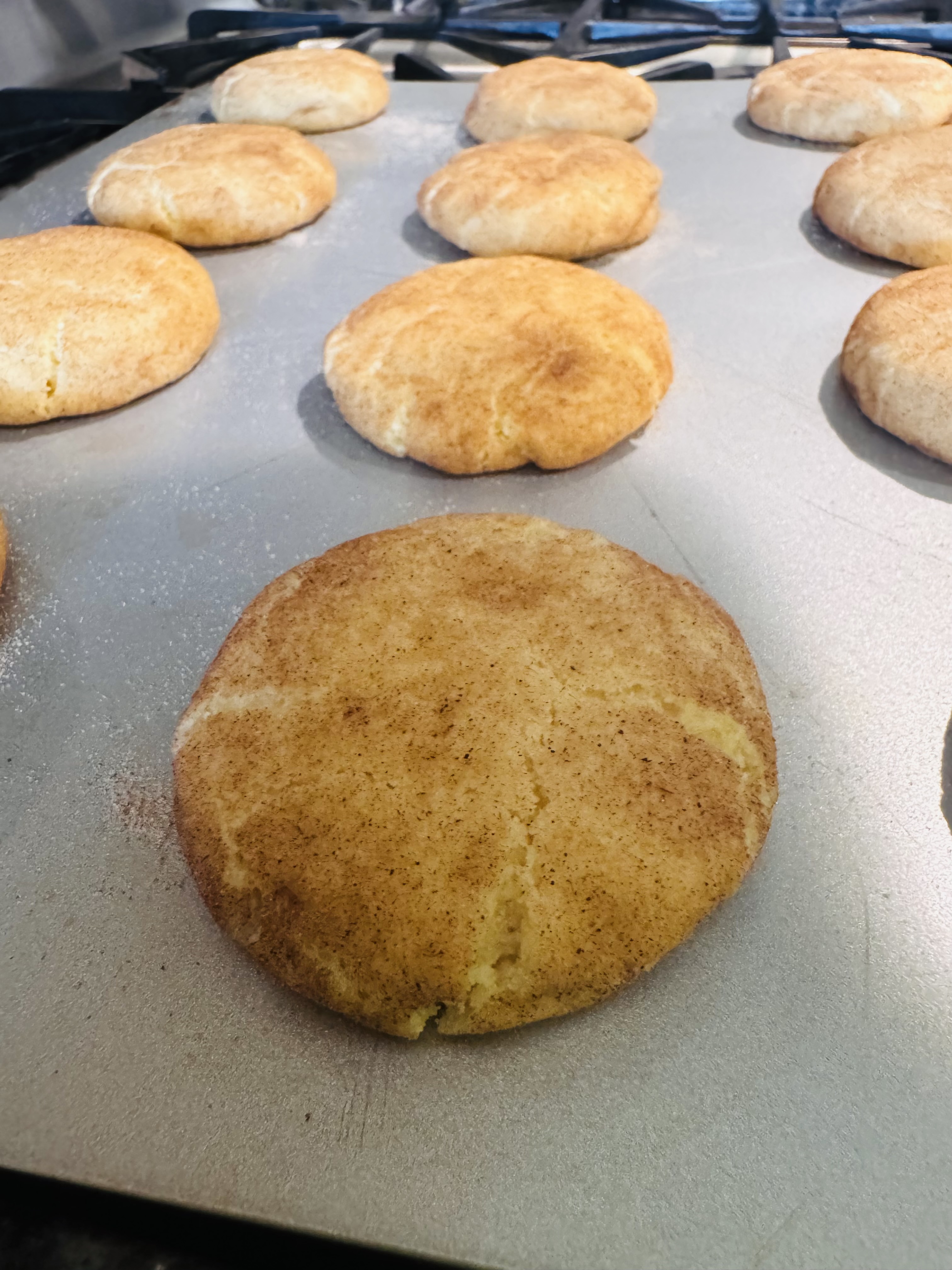 Snickerdoodle