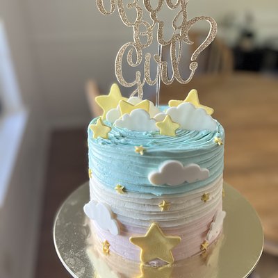 Gender Reveal 5 Inch Cake (2 Layers)